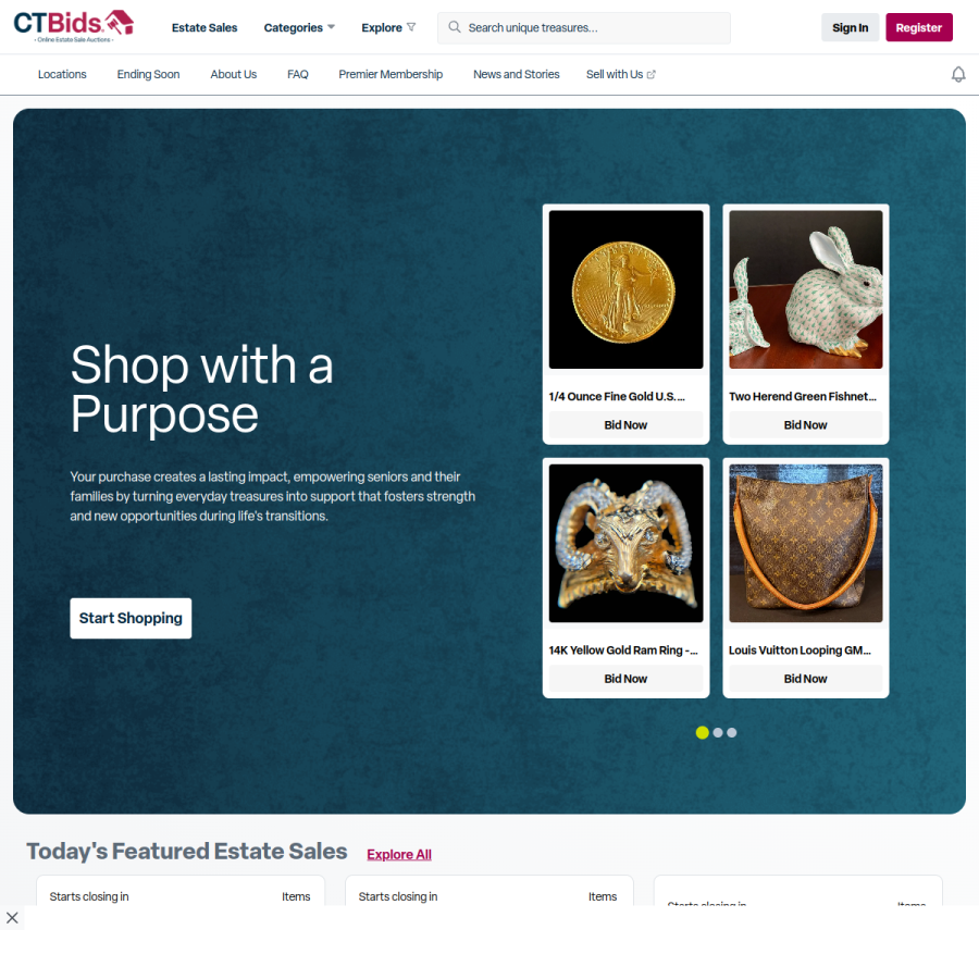 ctbids.com homepage screenshot