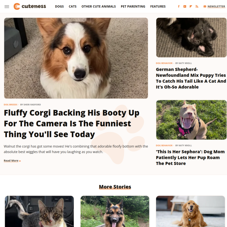 cuteness.com homepage screenshot