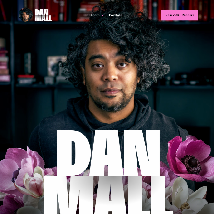 danmall.com homepage screenshot