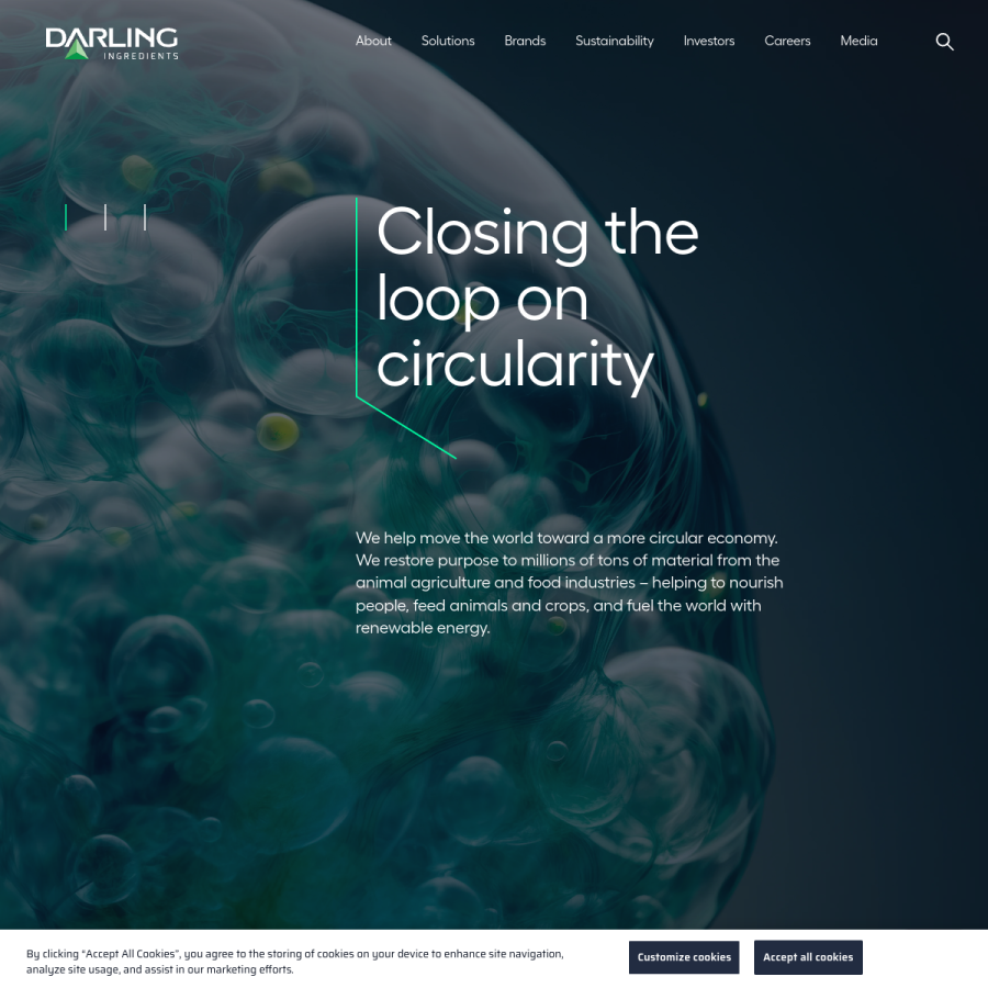 darlingii.com homepage screenshot