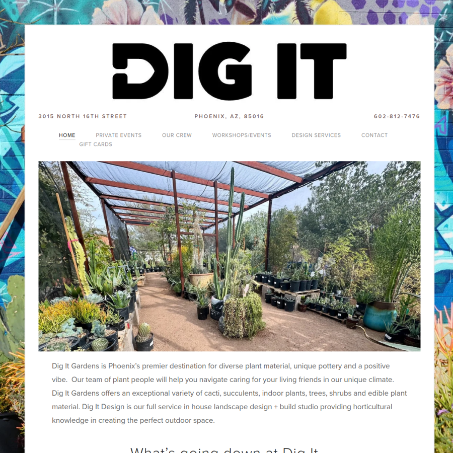 digphx.com homepage screenshot