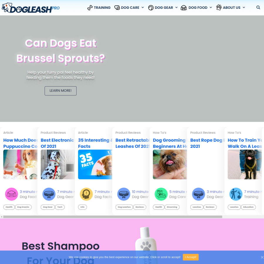 dogleashpro.com homepage screenshot