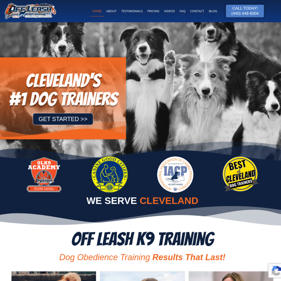 dogtrainercleveland.com homepage screenshot