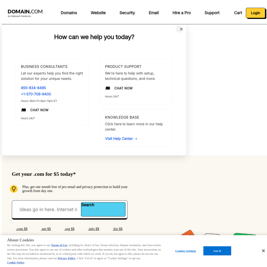 domain.com homepage screenshot
