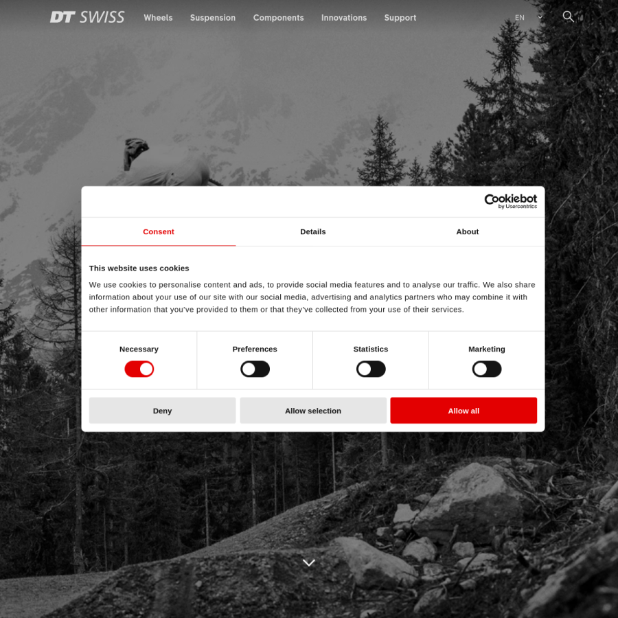 dtswiss.com homepage screenshot