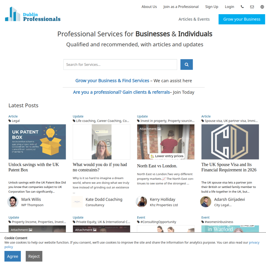 dublinprofessionals.com homepage screenshot