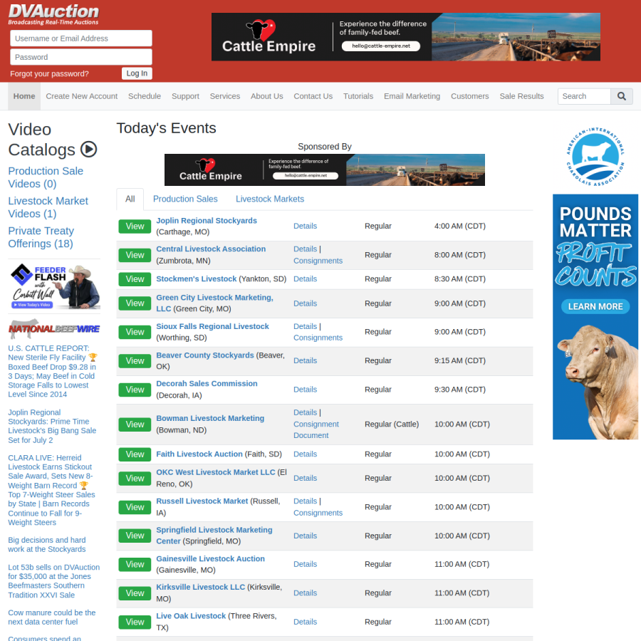 dvauction.com homepage screenshot
