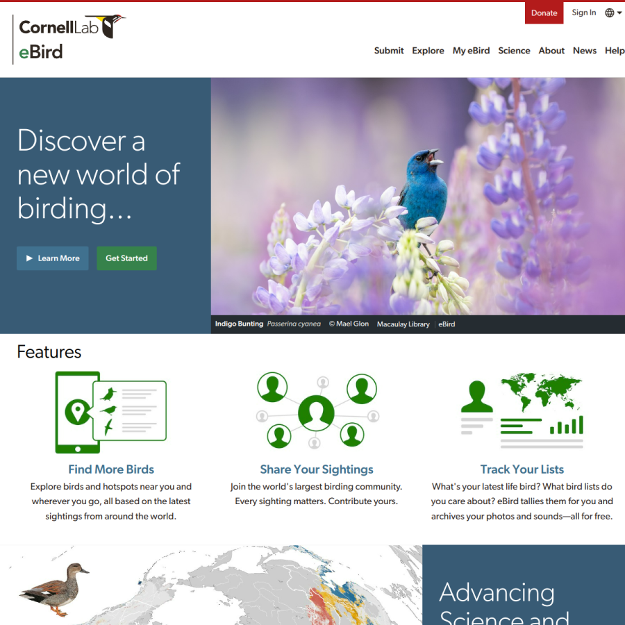 ebird.org homepage screenshot