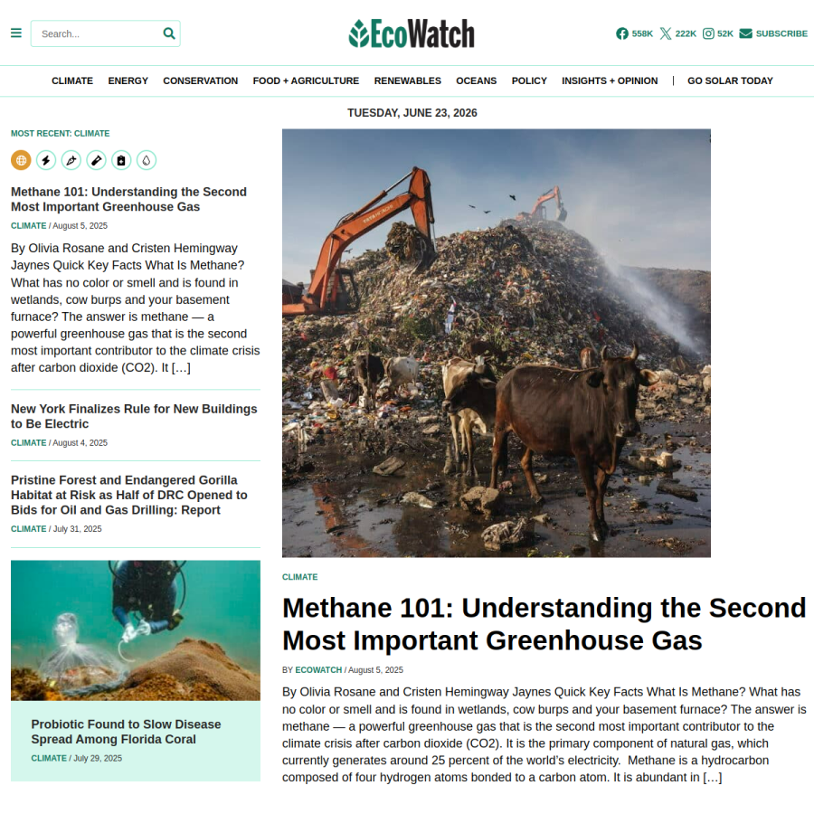 ecowatch.com homepage screenshot