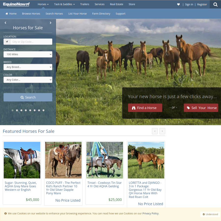 equinenow.com homepage screenshot