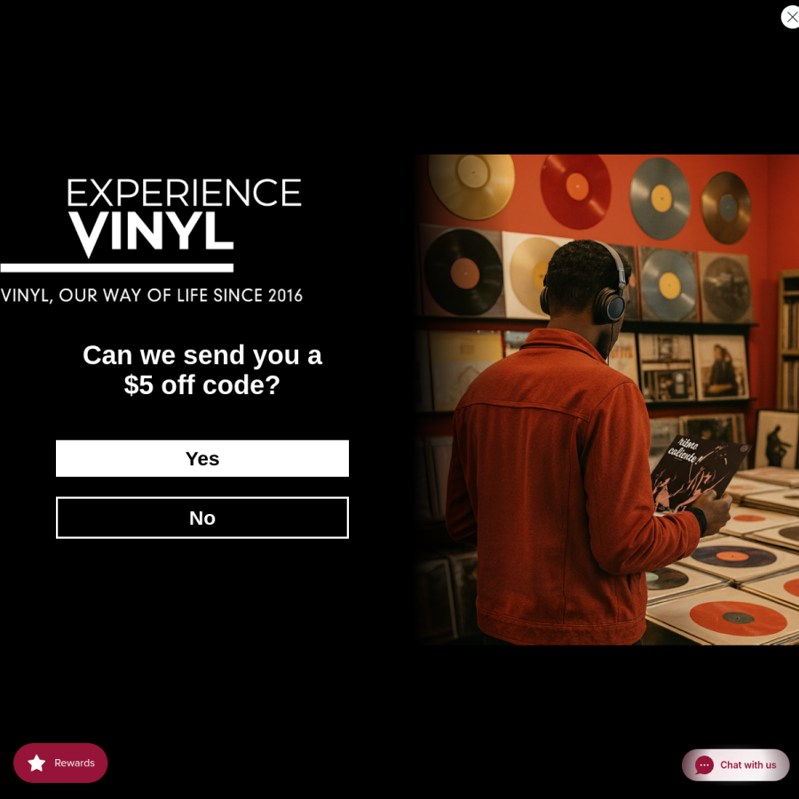 experiencevinyl.com homepage screenshot