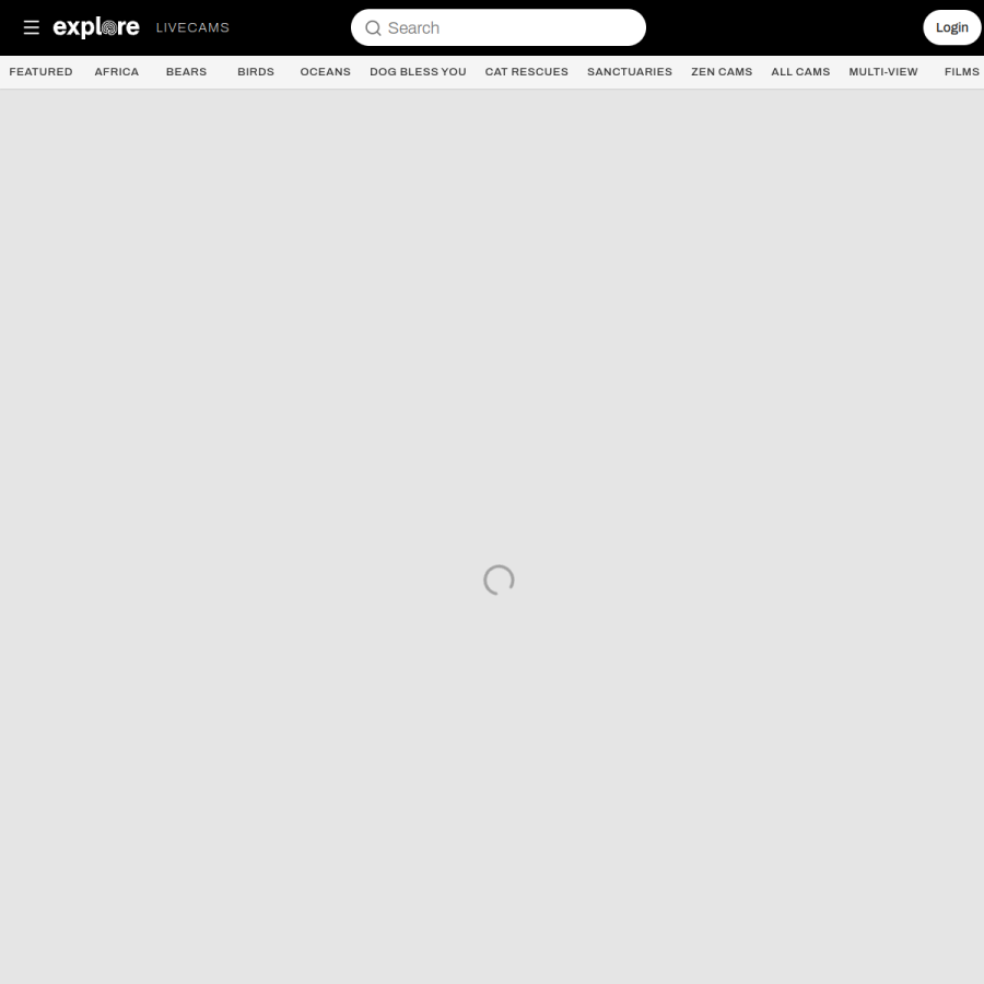 explore.org homepage screenshot