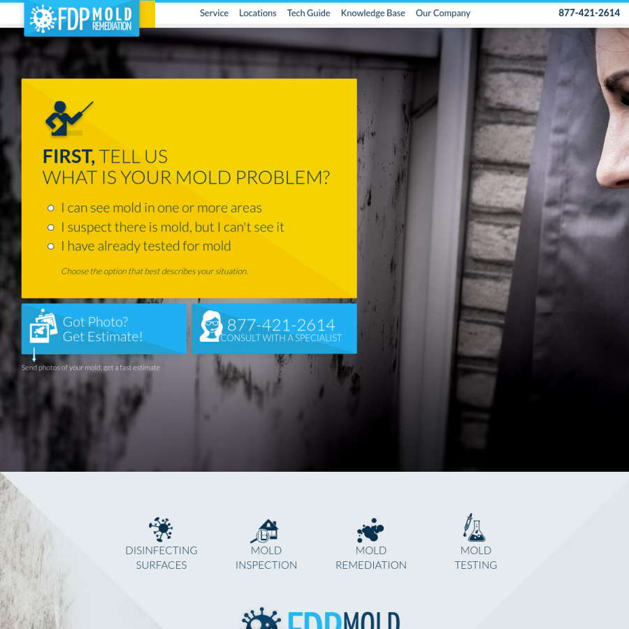 fdpmoldremediation.com homepage screenshot