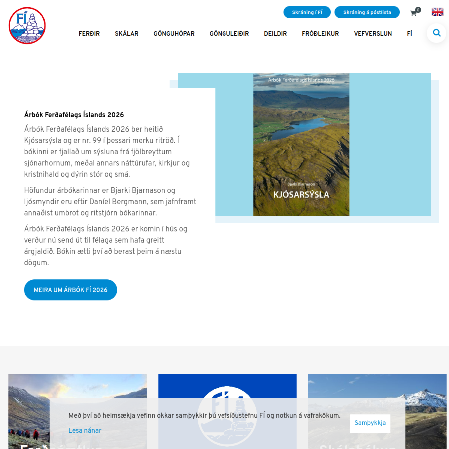 fi.is homepage screenshot