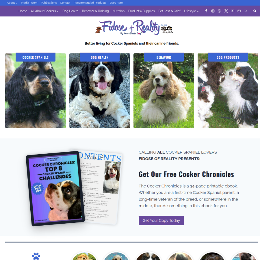 fidoseofreality.com homepage screenshot