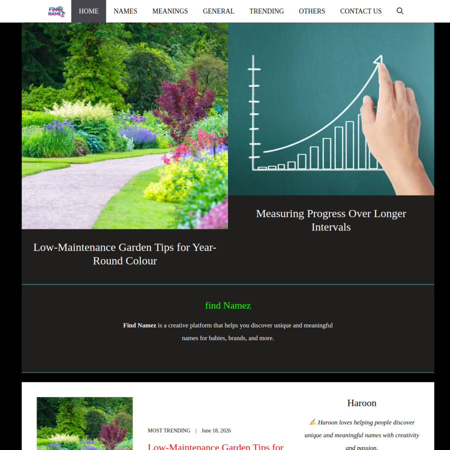 findnamez.com homepage screenshot