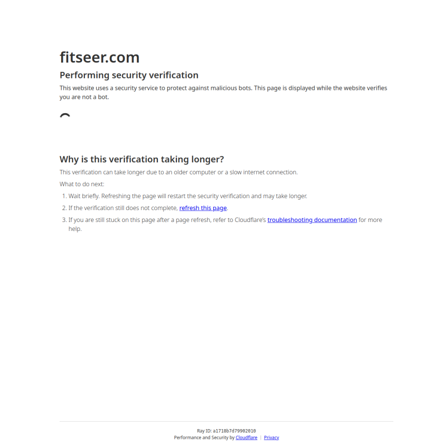 fitseer.com homepage screenshot