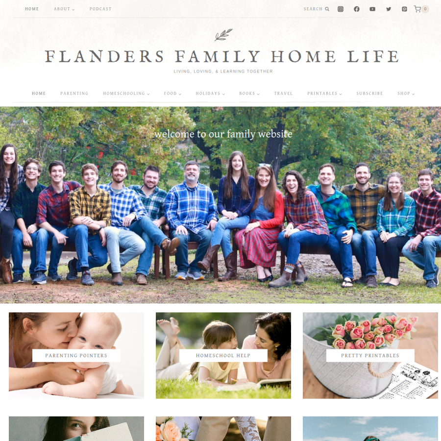 flandersfamily.info homepage screenshot