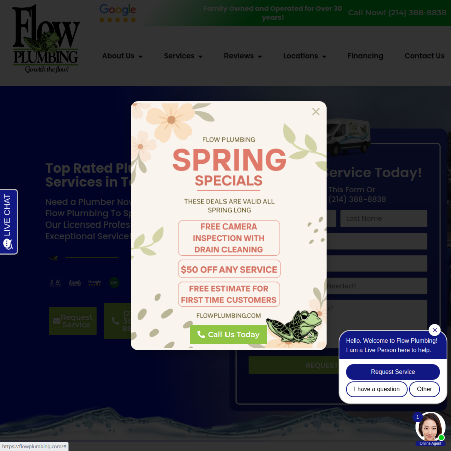 flowplumbing.com homepage screenshot