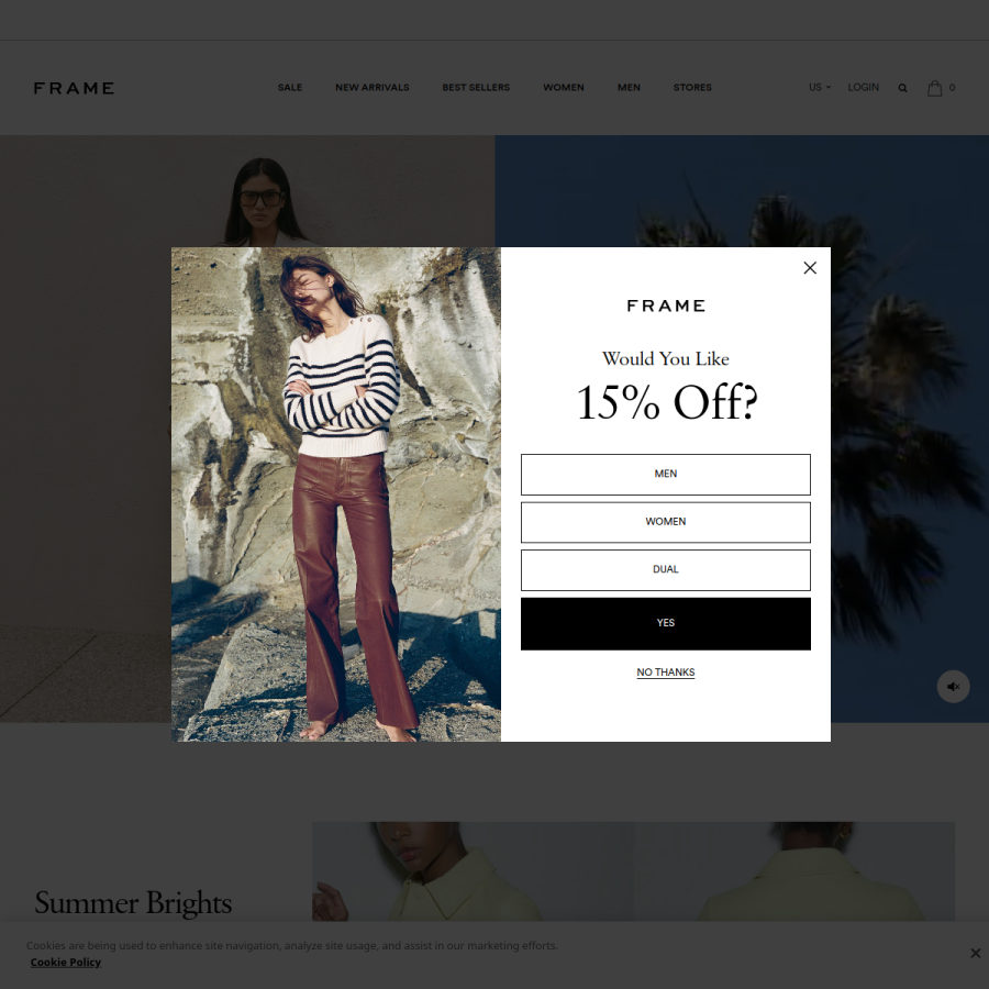 frame-store.com homepage screenshot