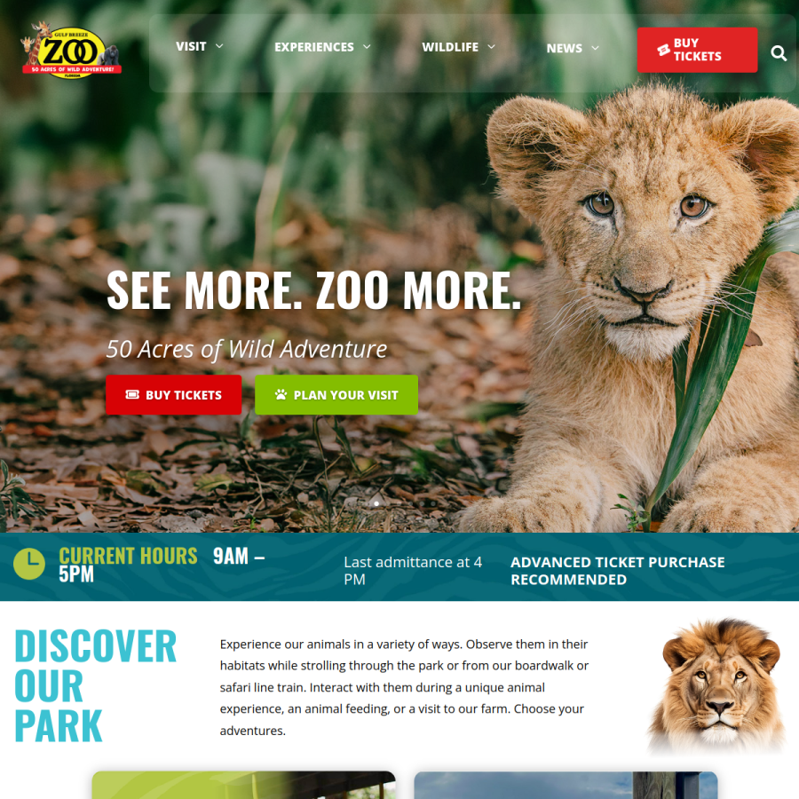 gbzoo.com homepage screenshot
