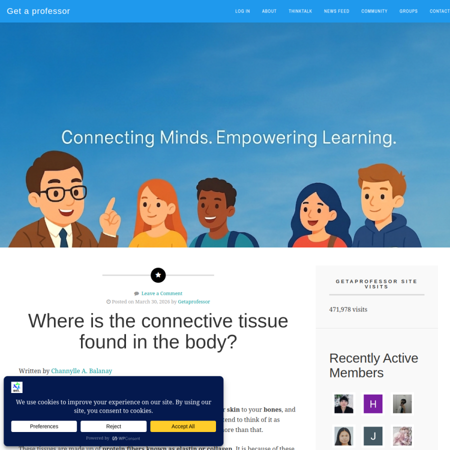 getaprofessor.com homepage screenshot