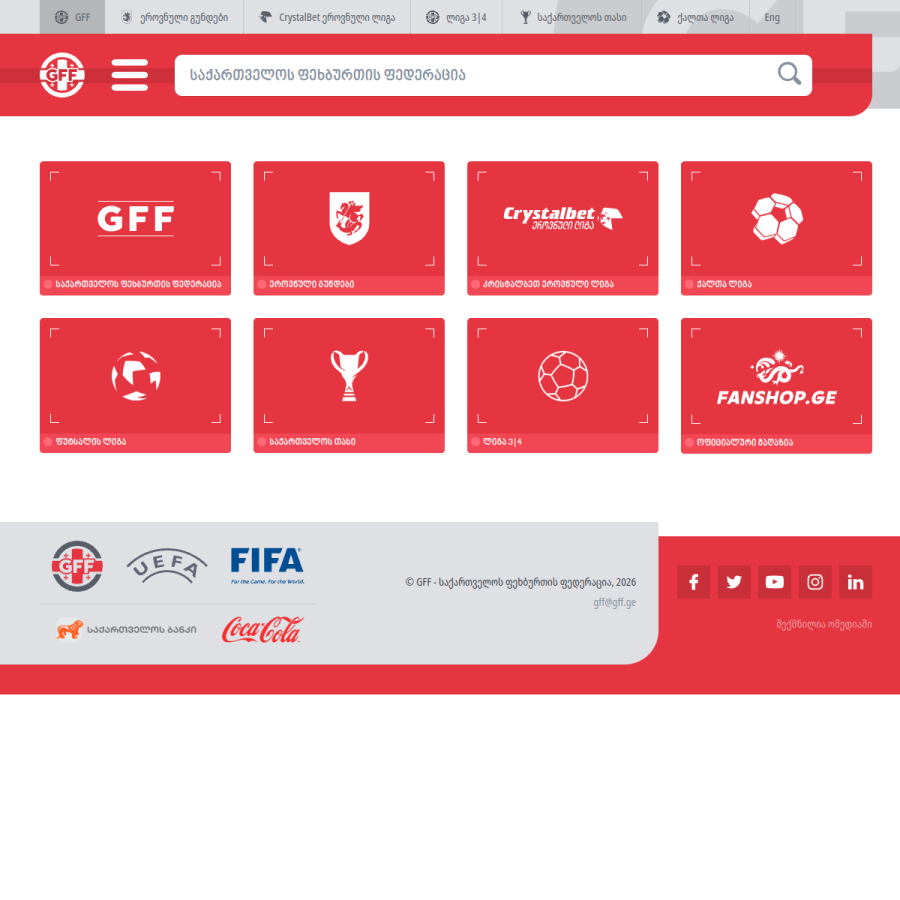 gff.ge homepage screenshot