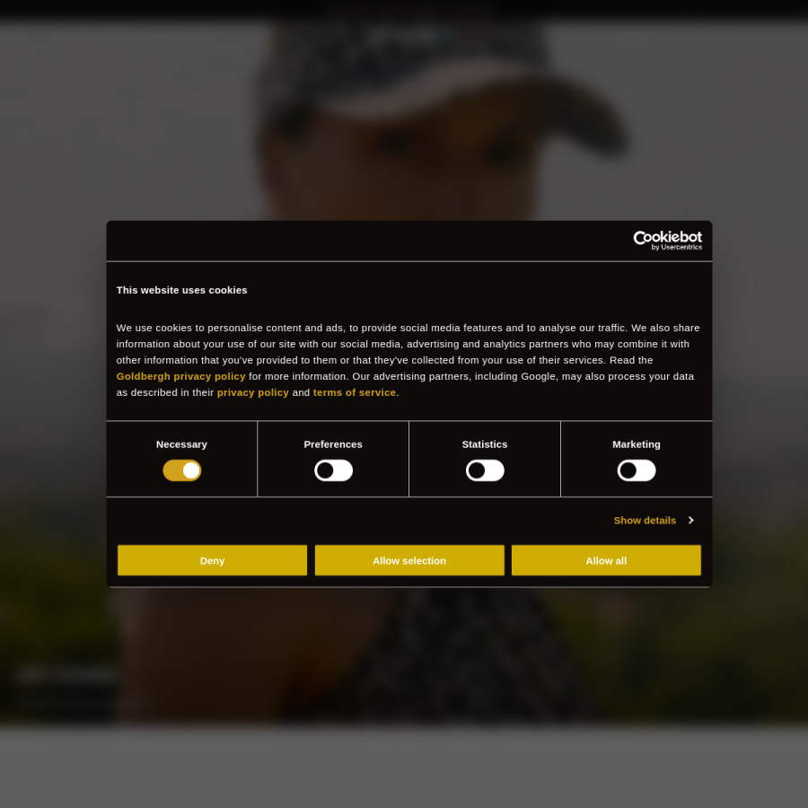 goldbergh.com homepage screenshot