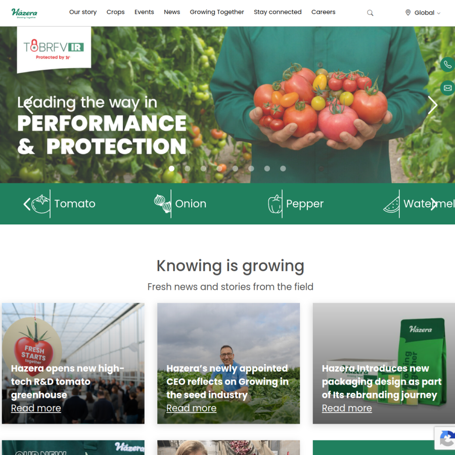 hazera.com homepage screenshot