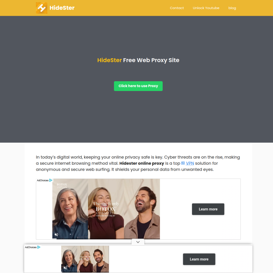 hidester.one homepage screenshot