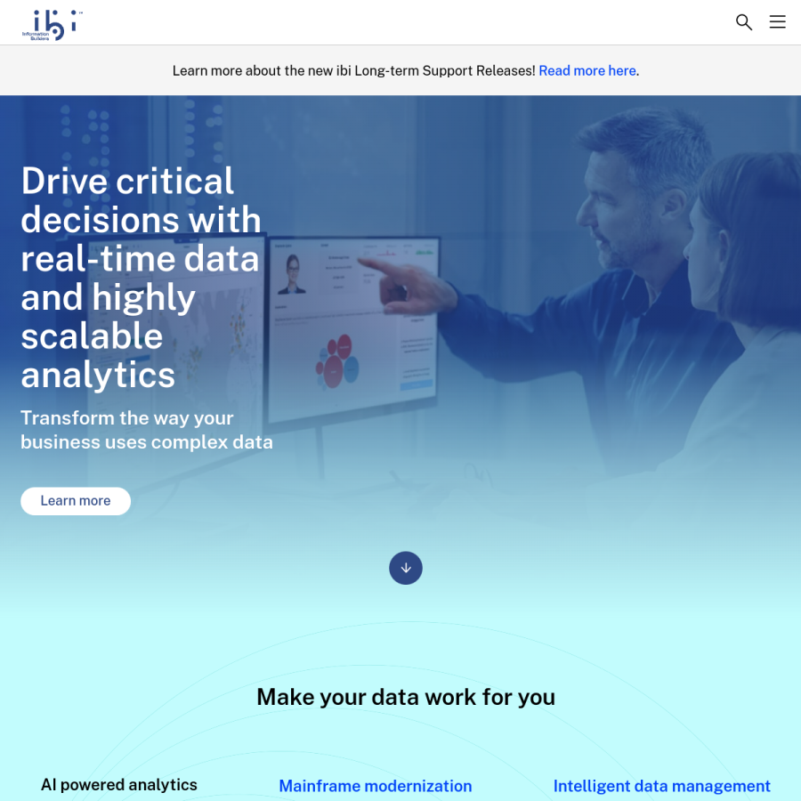 ibi.com homepage screenshot