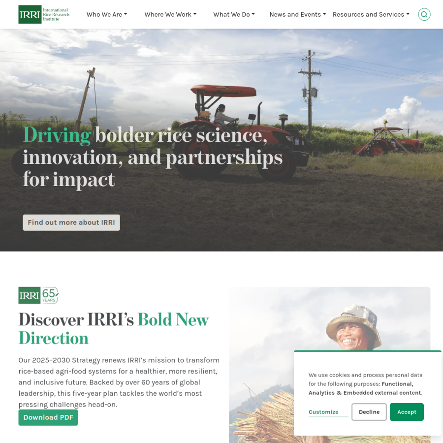 irri.org homepage screenshot