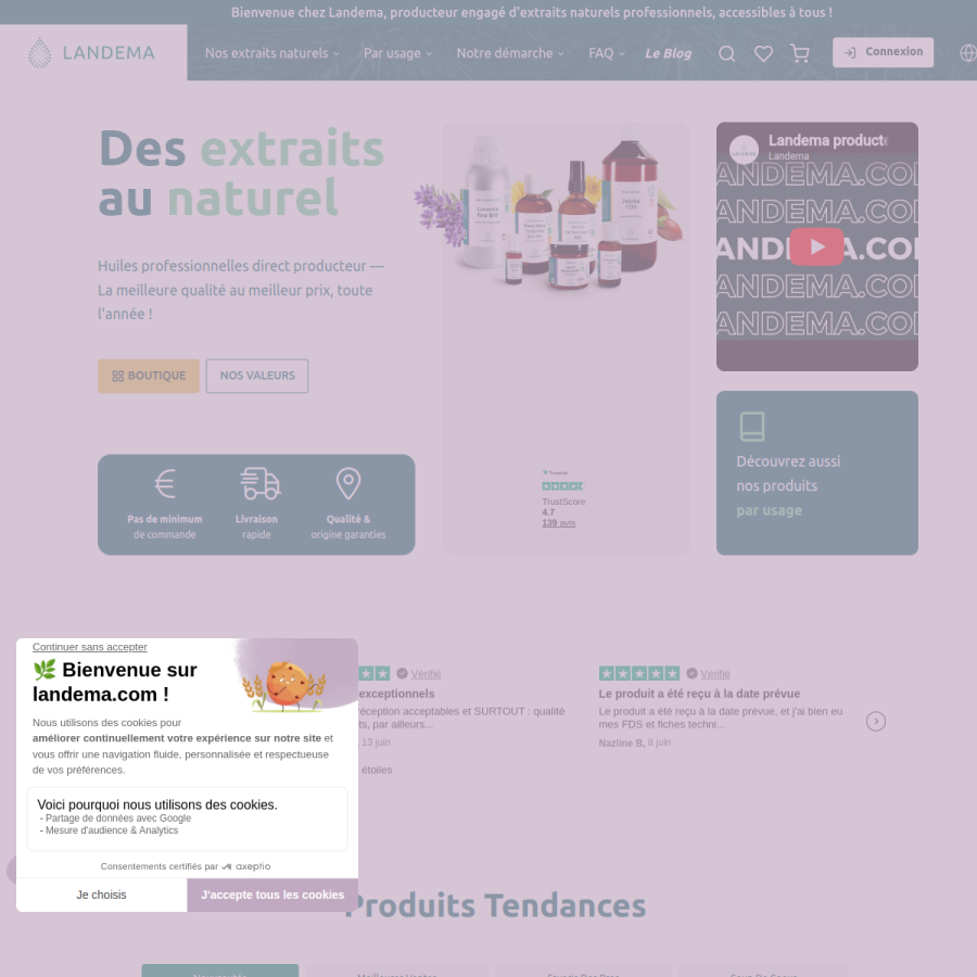 landema.com homepage screenshot