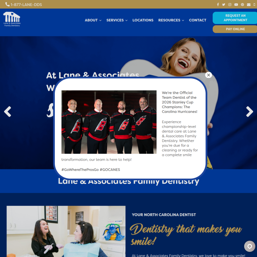 lanedds.com homepage screenshot
