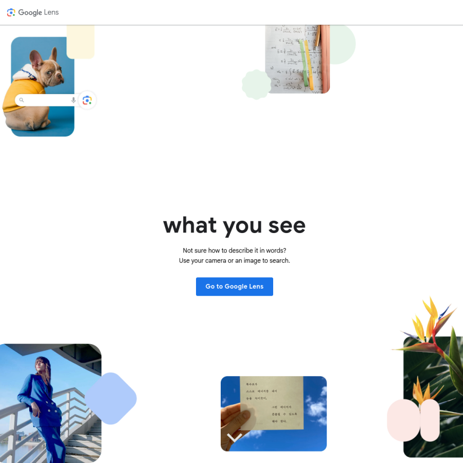 lens.google homepage screenshot
