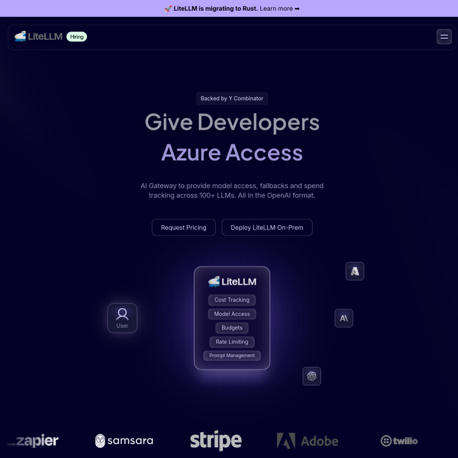 litellm.ai homepage screenshot
