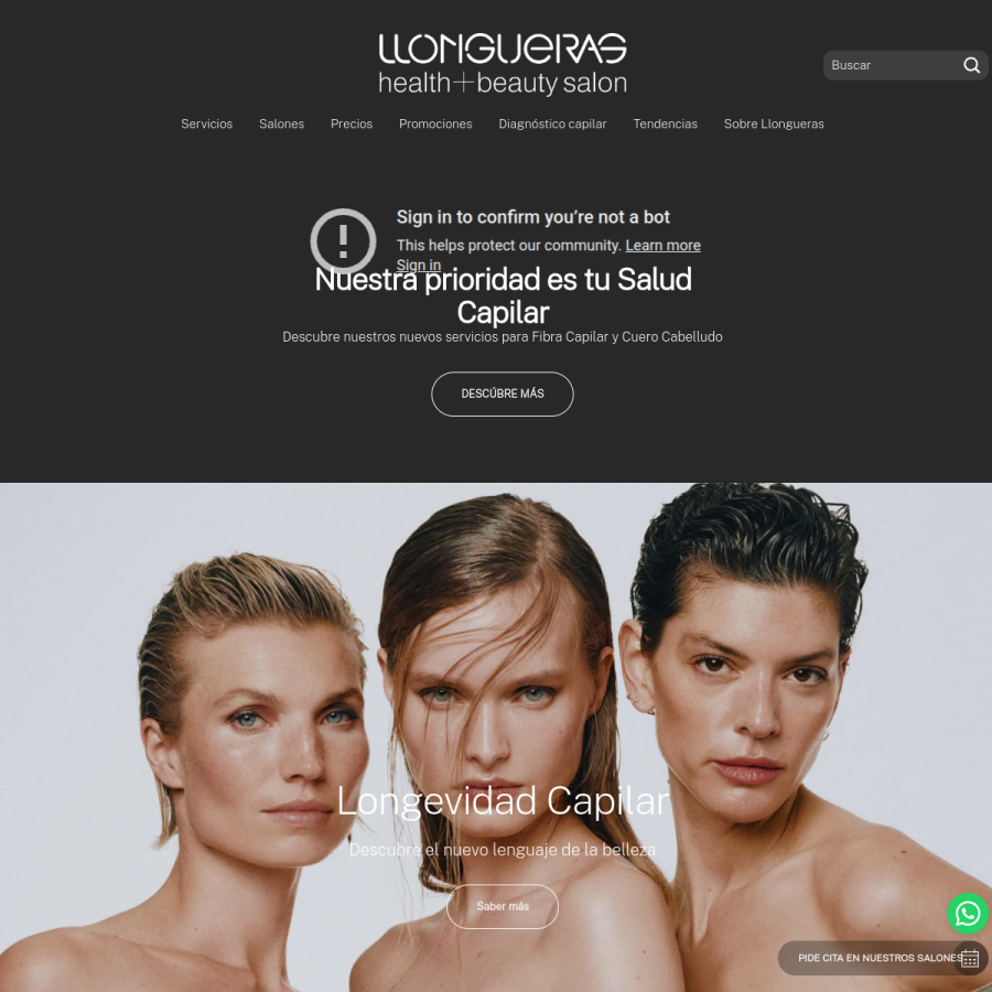 llongueras.com homepage screenshot