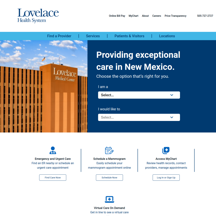 lovelace.com homepage screenshot