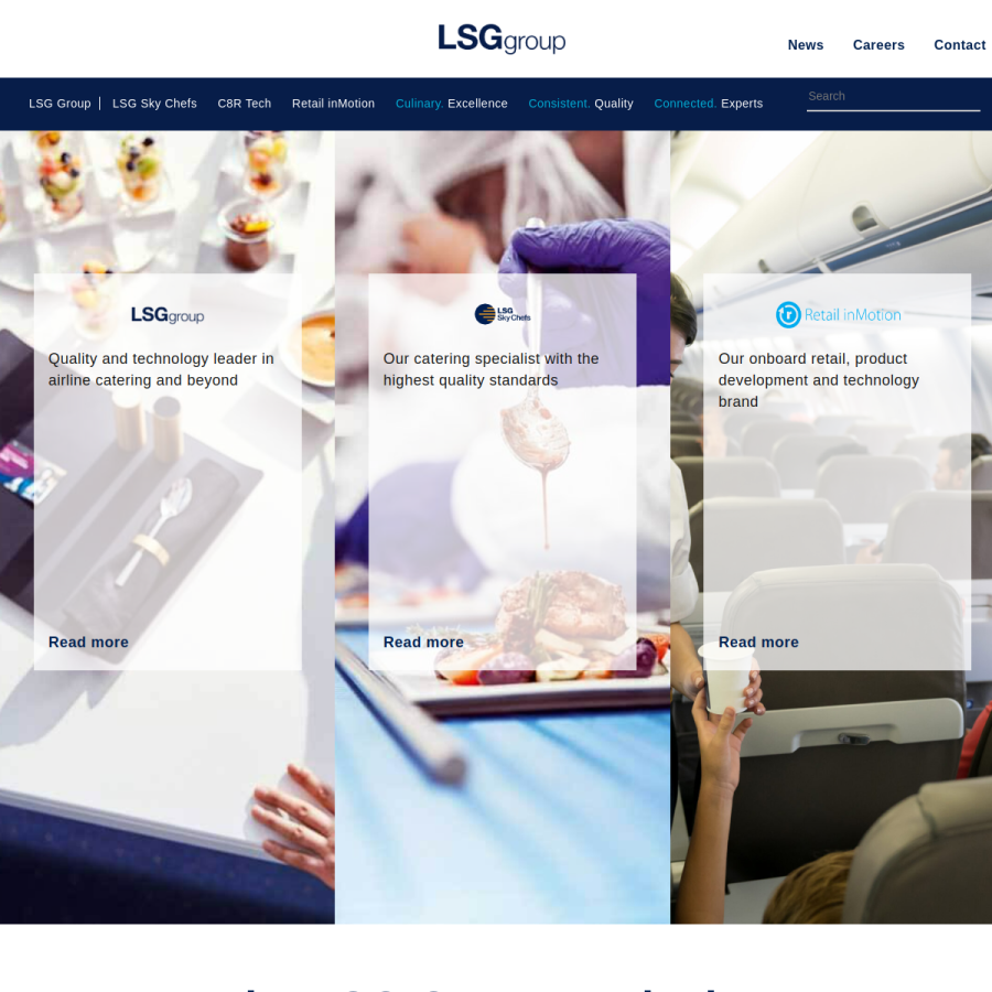 lsg-group.com homepage screenshot