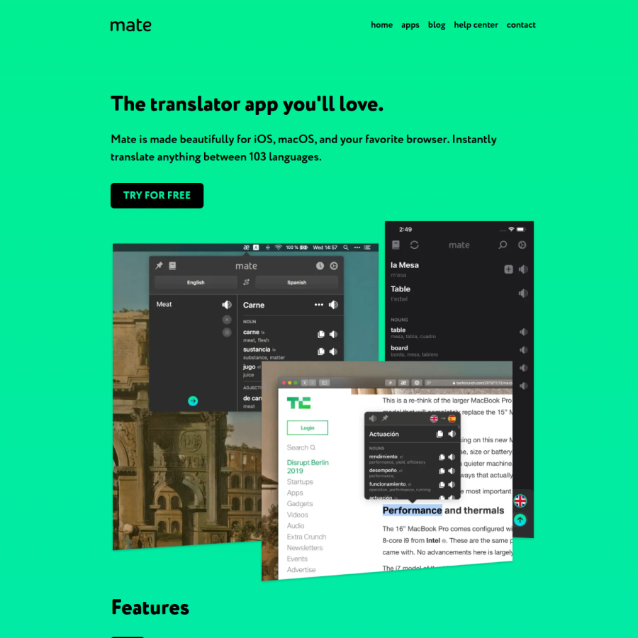 matetranslate.com homepage screenshot