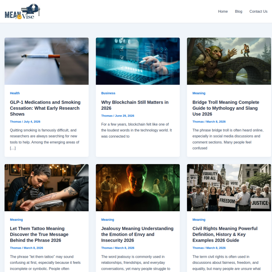 meanvise.com homepage screenshot