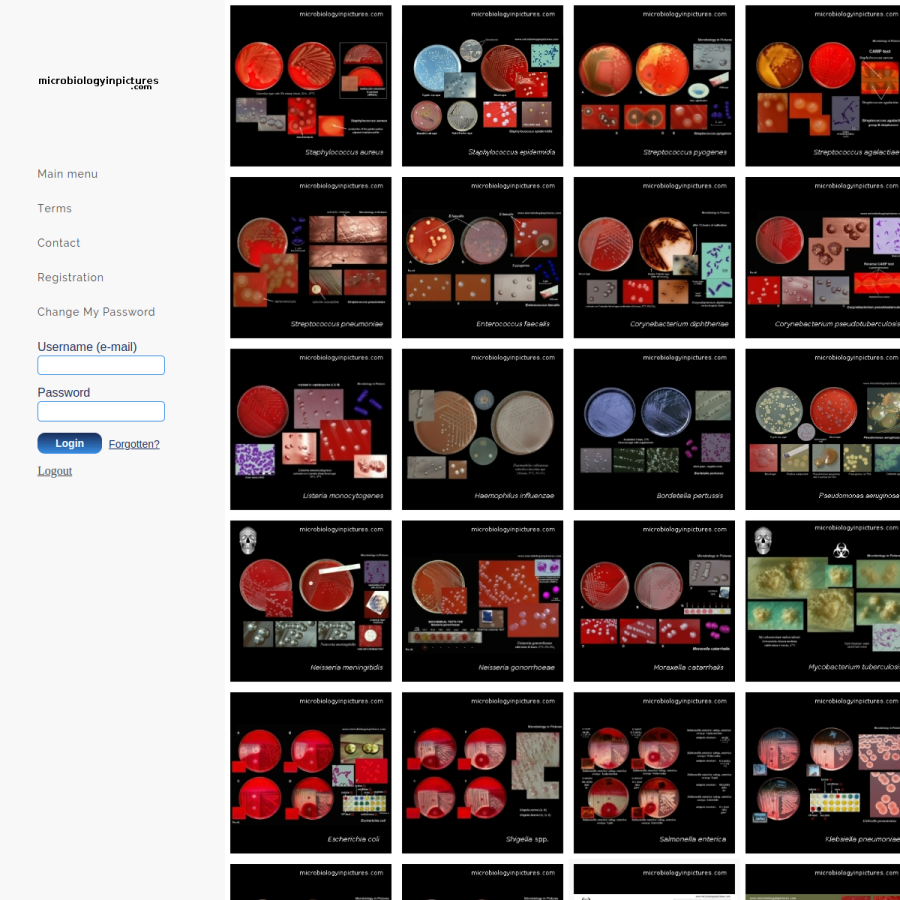 microbiologyinpictures.com homepage screenshot