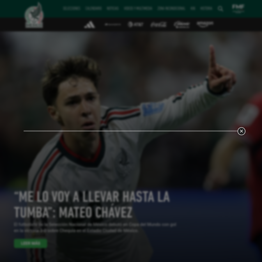 miseleccion.mx homepage screenshot