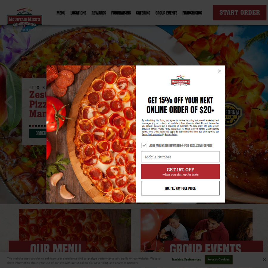 mountainmikespizza.com homepage screenshot