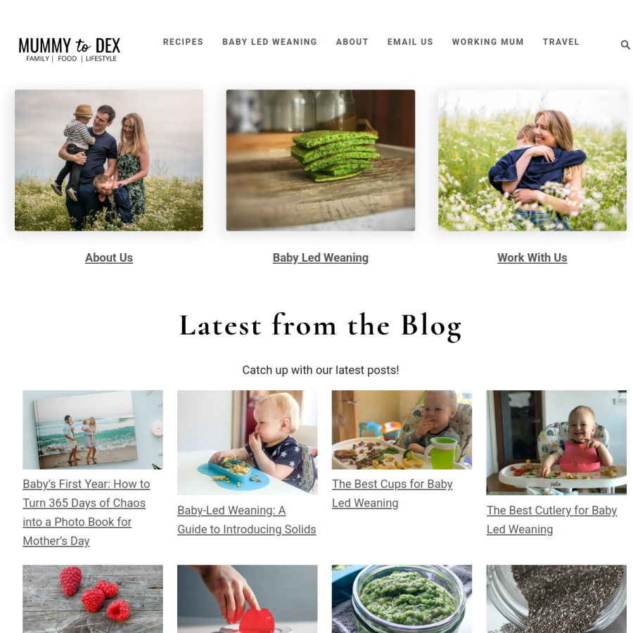 mummytodex.com homepage screenshot