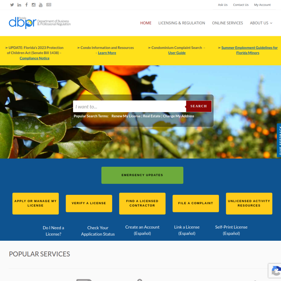 myfloridalicense.com homepage screenshot