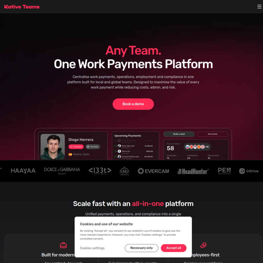 nativeteams.com homepage screenshot