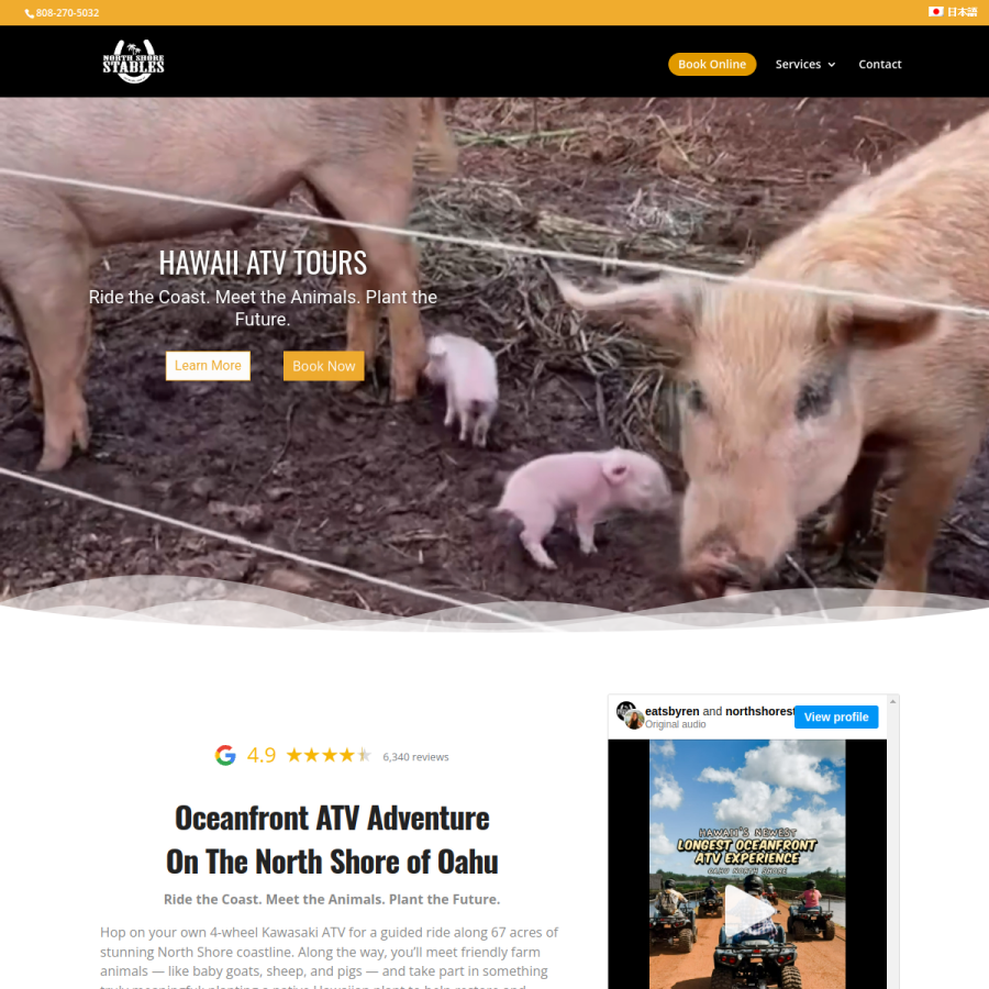 northshorestables.com homepage screenshot