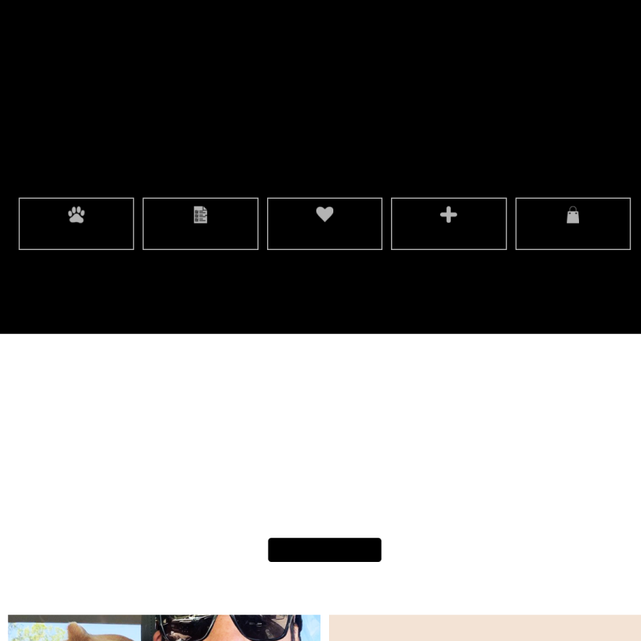 nybullycrew.org homepage screenshot