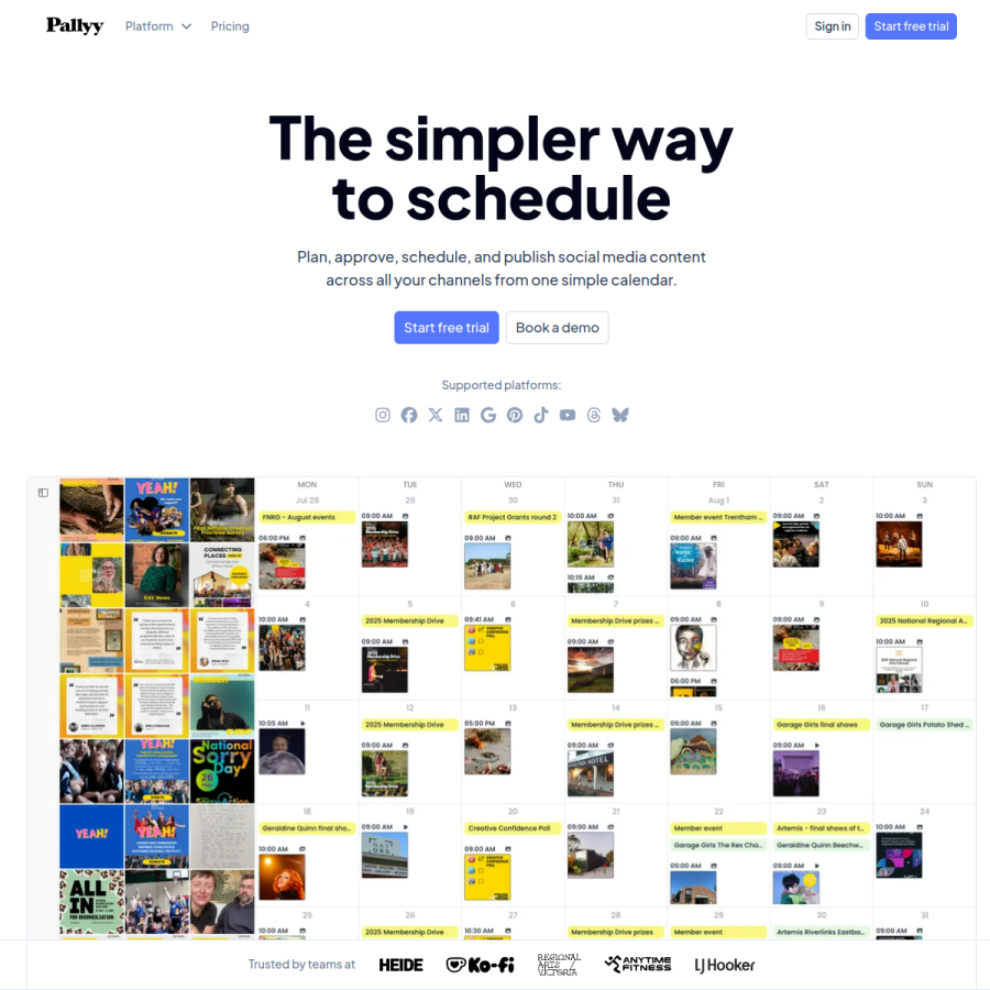 pallyy.com homepage screenshot